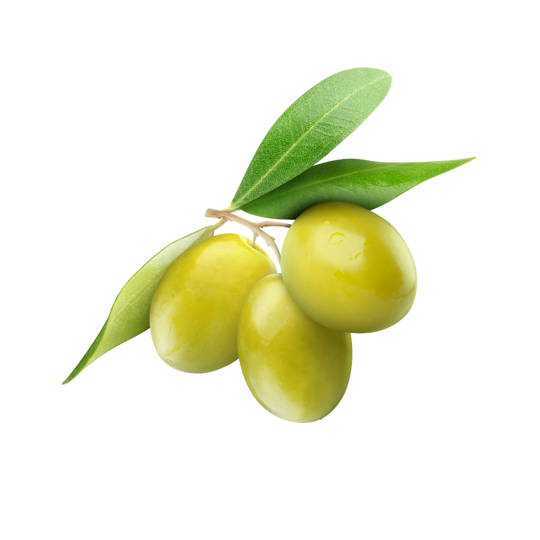 Tre olive di un verde brillante su un gambo corto, con due foglie appuntite e vivaci su uno sfondo bianco immacolato.