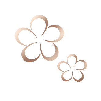 Due contorni di fiori color oro, uno grande e uno piccolo, su uno sfondo bianco.