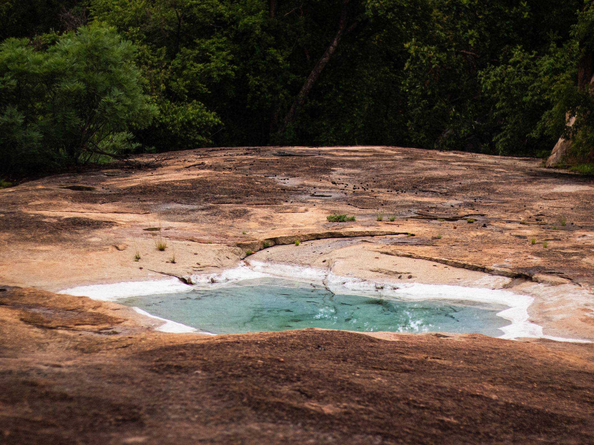 A small, turquoise-colored pool of water surrounded by brown rock in a forest setting.