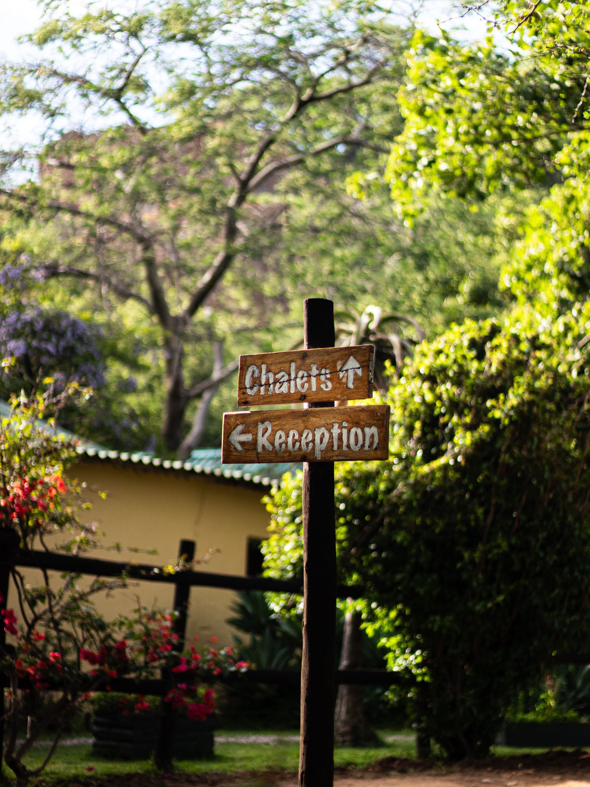 Signpost with wooden signs pointing towards