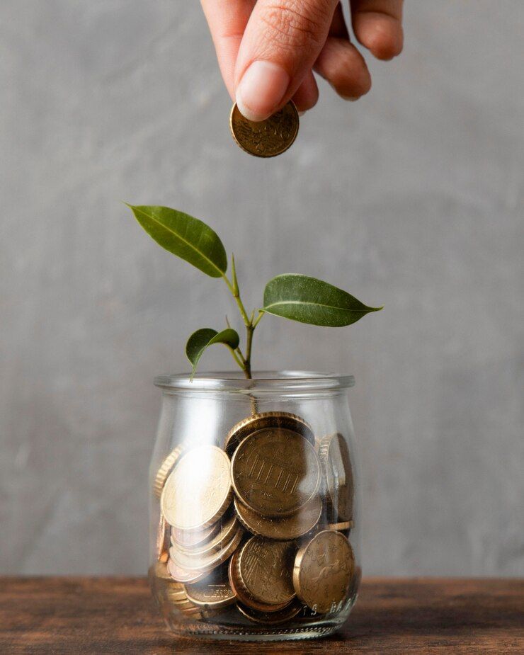 Una persona está poniendo una moneda en un frasco de monedas del que crece una planta.