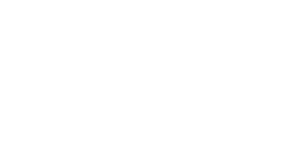 Blank white rectangle with a faint light-gray line across the middle