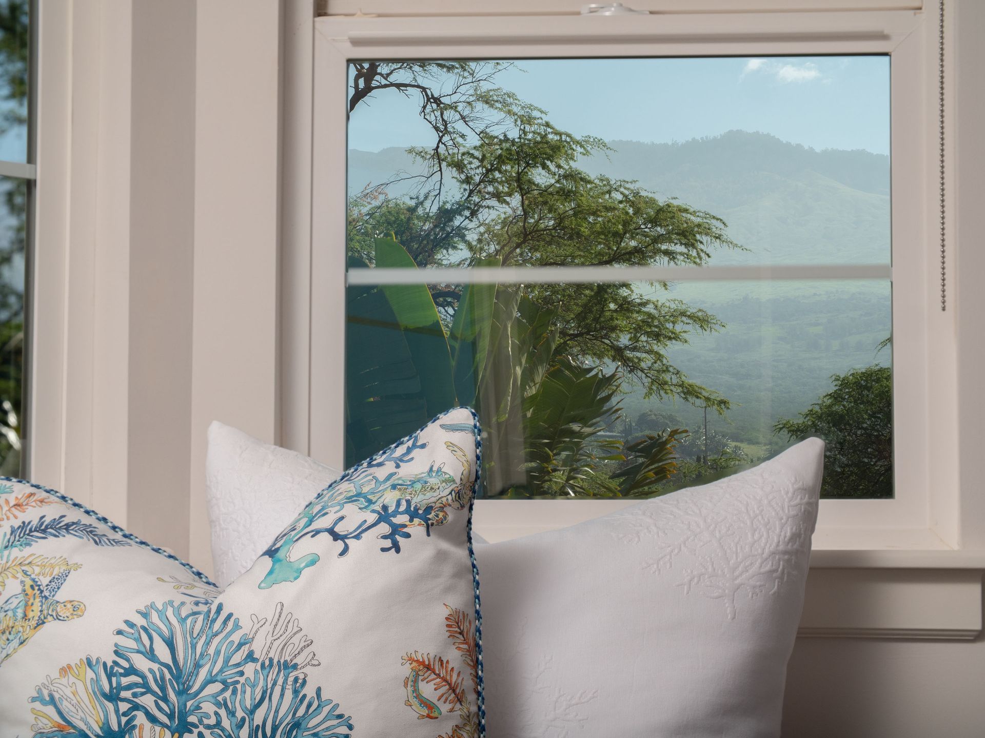 Two pillows are sitting in front of a window with mountains in the background.