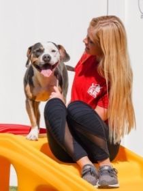 A woman is sitting on a slide next to a dog.