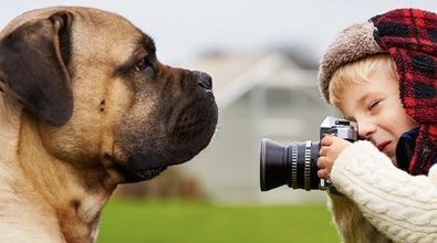 A little boy is taking a picture of a dog with a camera.