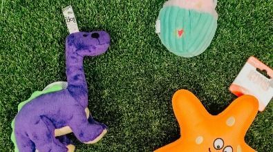 A purple dinosaur , a starfish , and a fish are sitting on top of a lush green field.