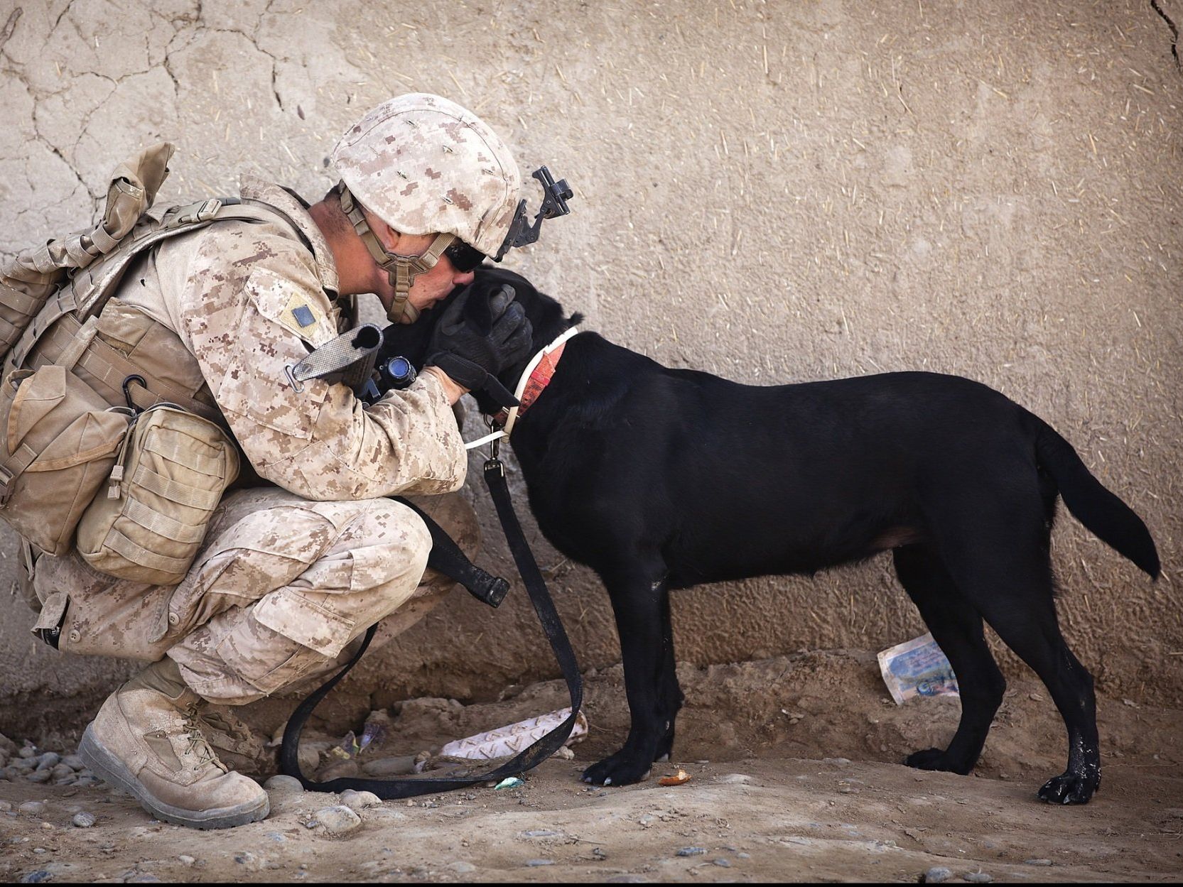 A soldier kneeling down with a black dog on a leash