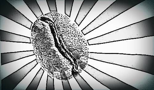 rising sun coffee scrub-logo
