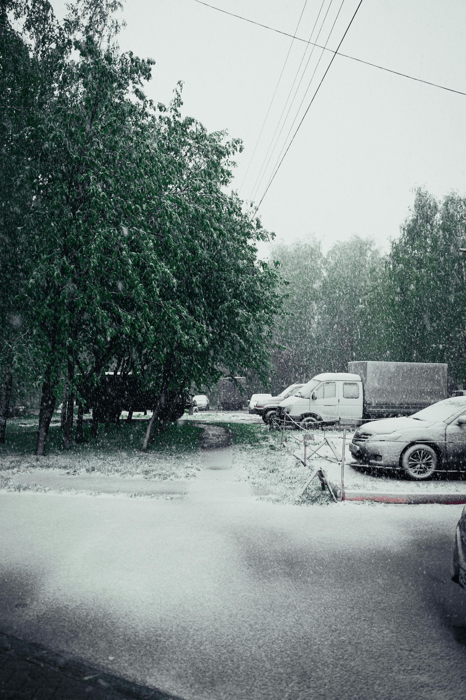 Snow-covered parking lot with trees, cars, and a van during snowfall