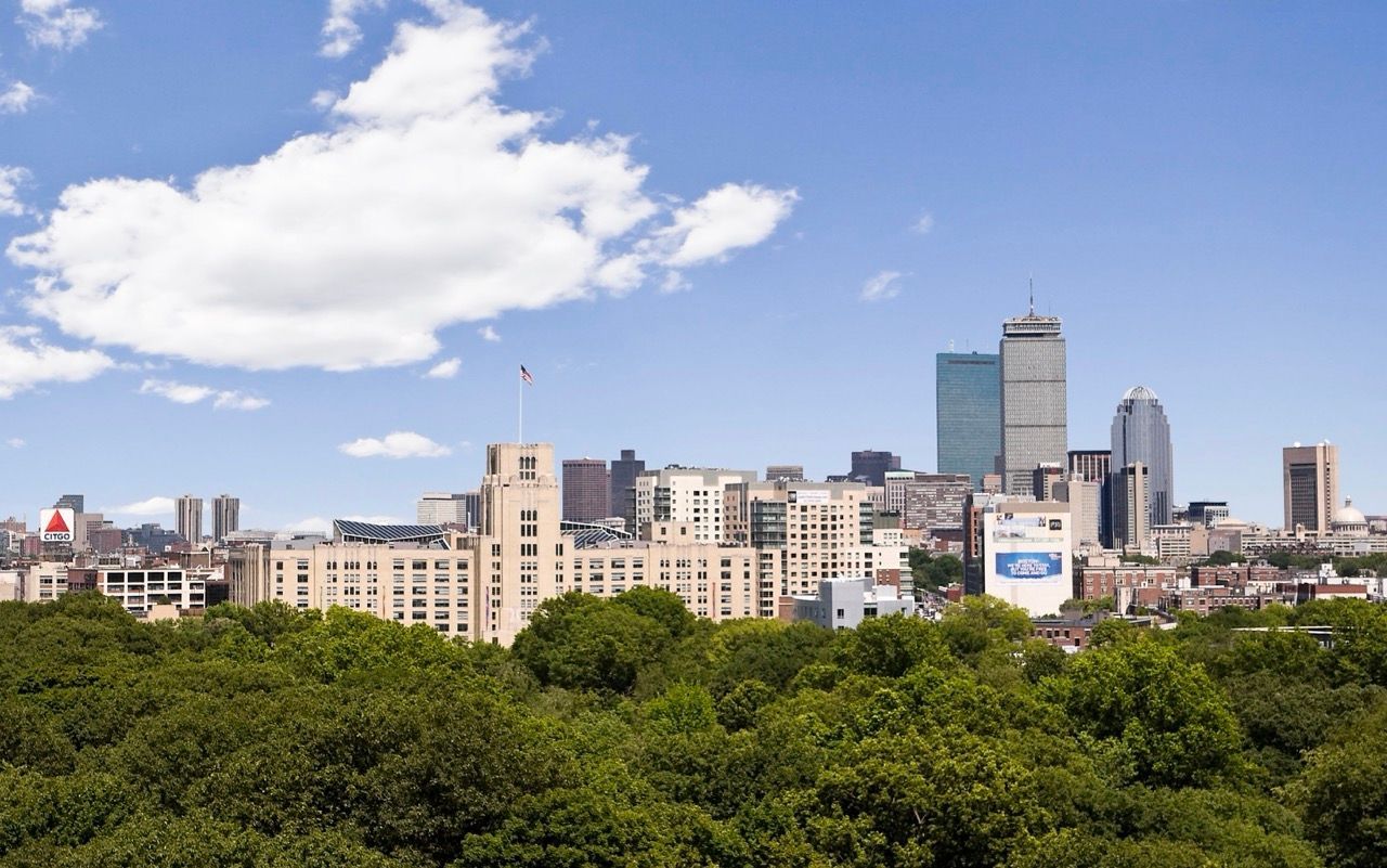 City skyline with trees in foreground and clear blue sky.
