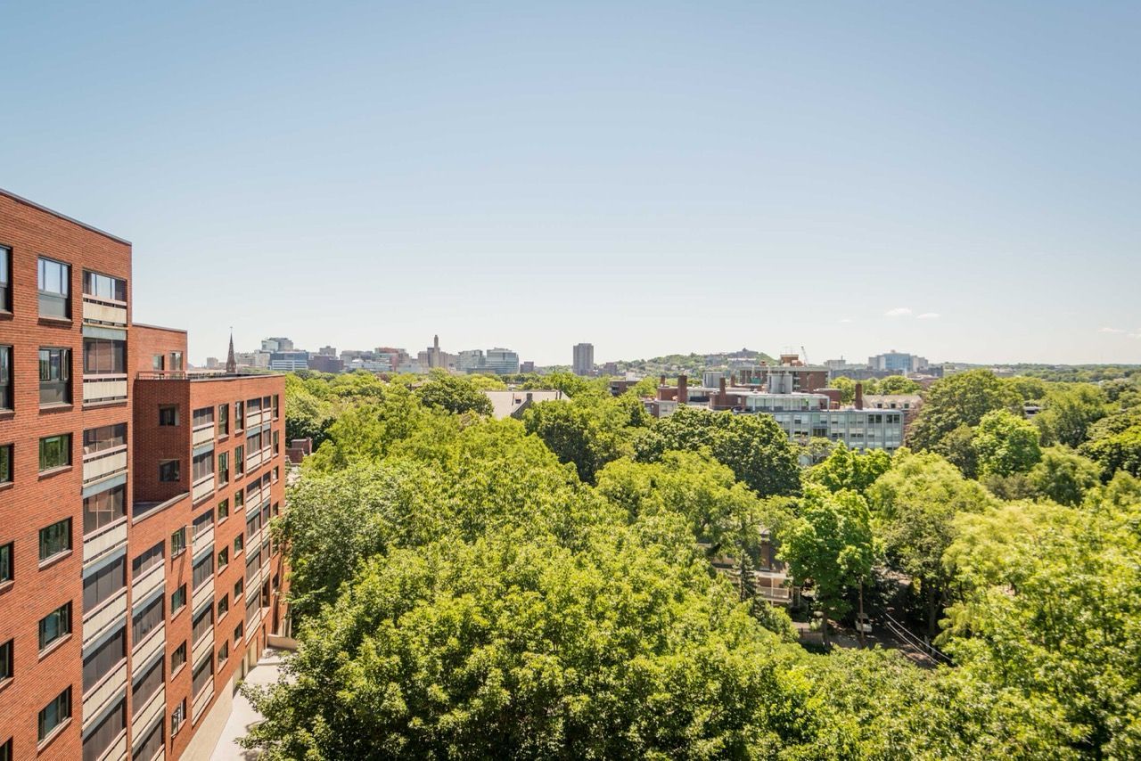 A multi-story brick apartment building overlooks a dense, green canopy of trees leading to a distant city skyline.