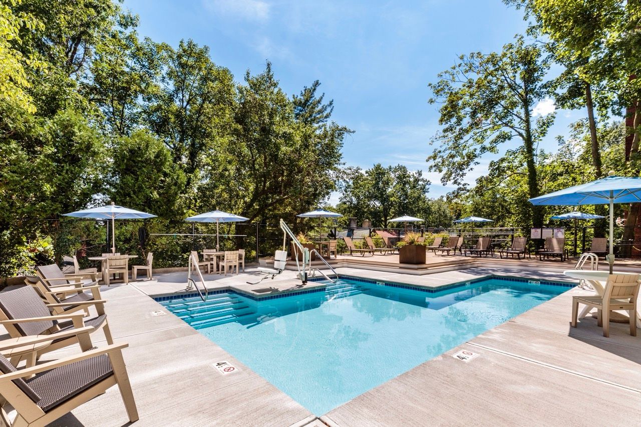 Outdoor pool with lounge chairs and blue umbrellas surrounded by trees.