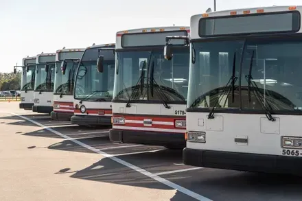 buses in parking