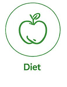 Green apple icon inside a circle with the word “Diet” below it
