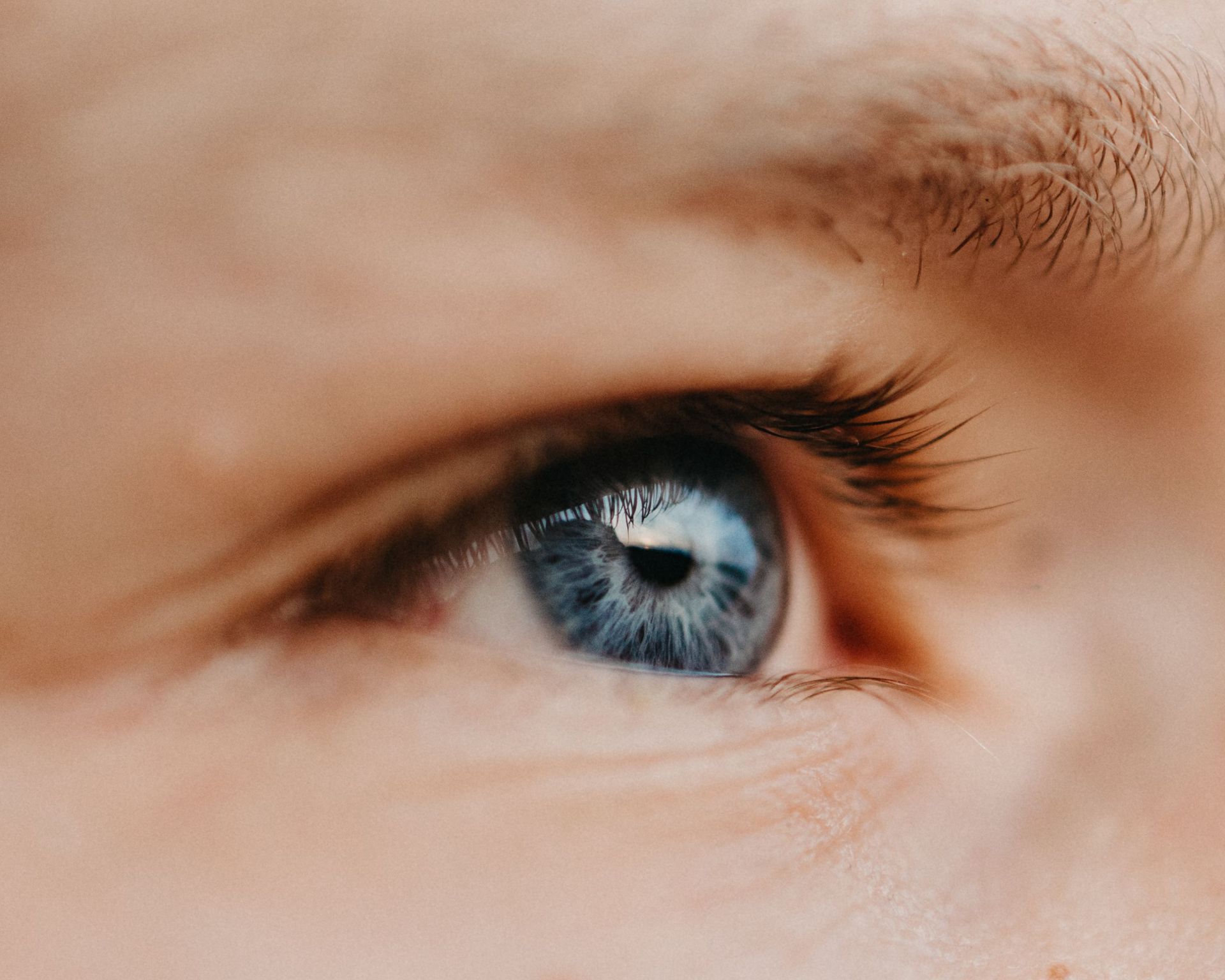 Close-up of a blue eye with eyelashes and eyebrow visible