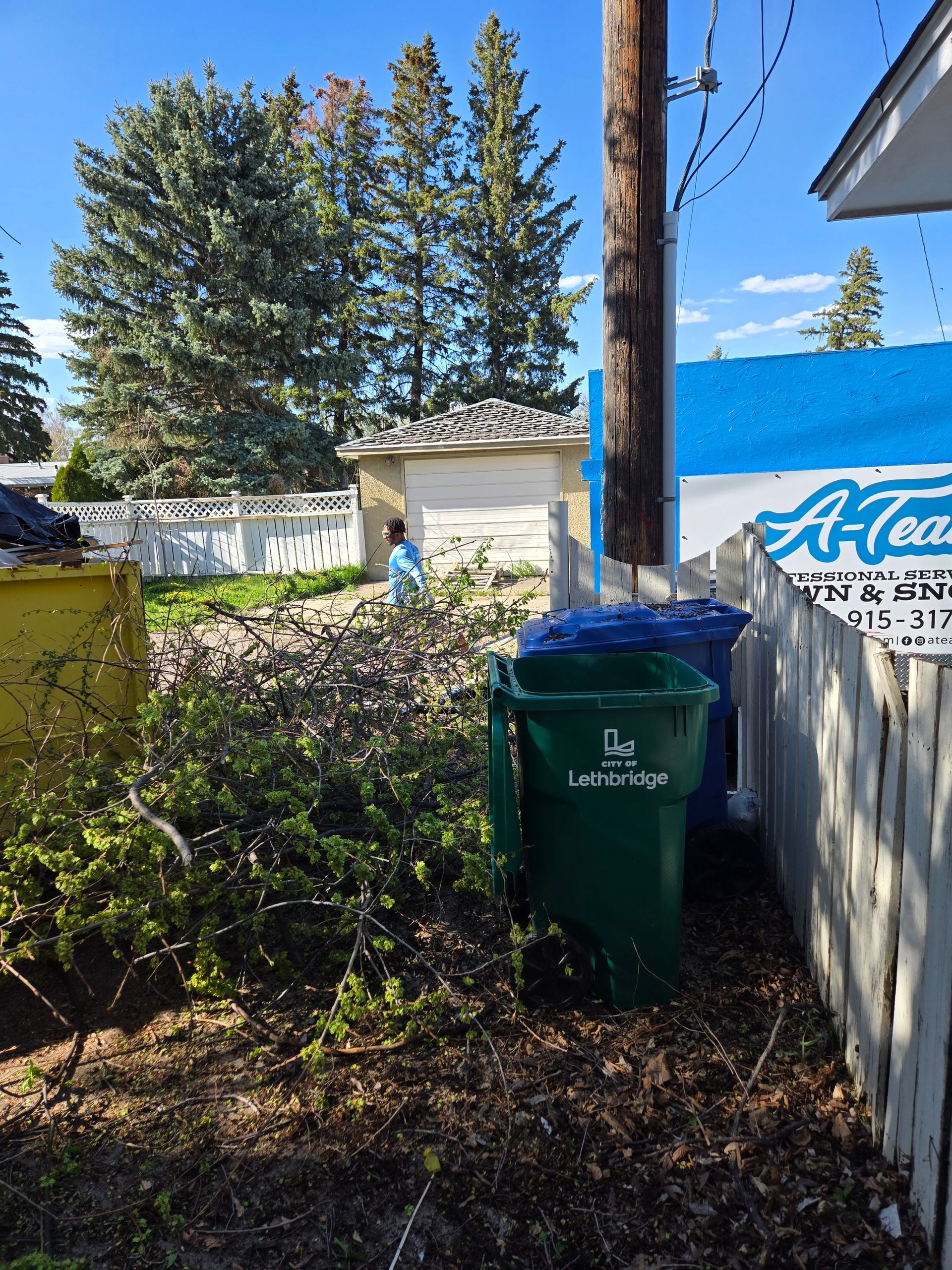 A green waste bin sits next to a blue bin, near a wooden fence, a utility pole, and a yellow dumpster in a yard.