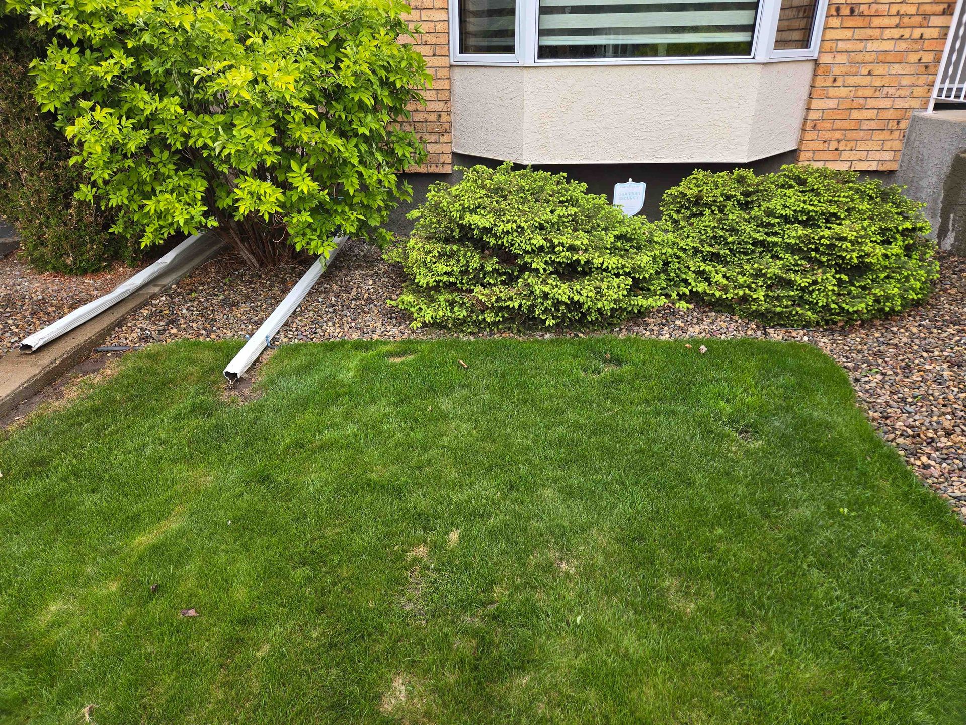 A house foundation with two white downspout extensions, green shrubs, and a patch of grass in the foreground.
