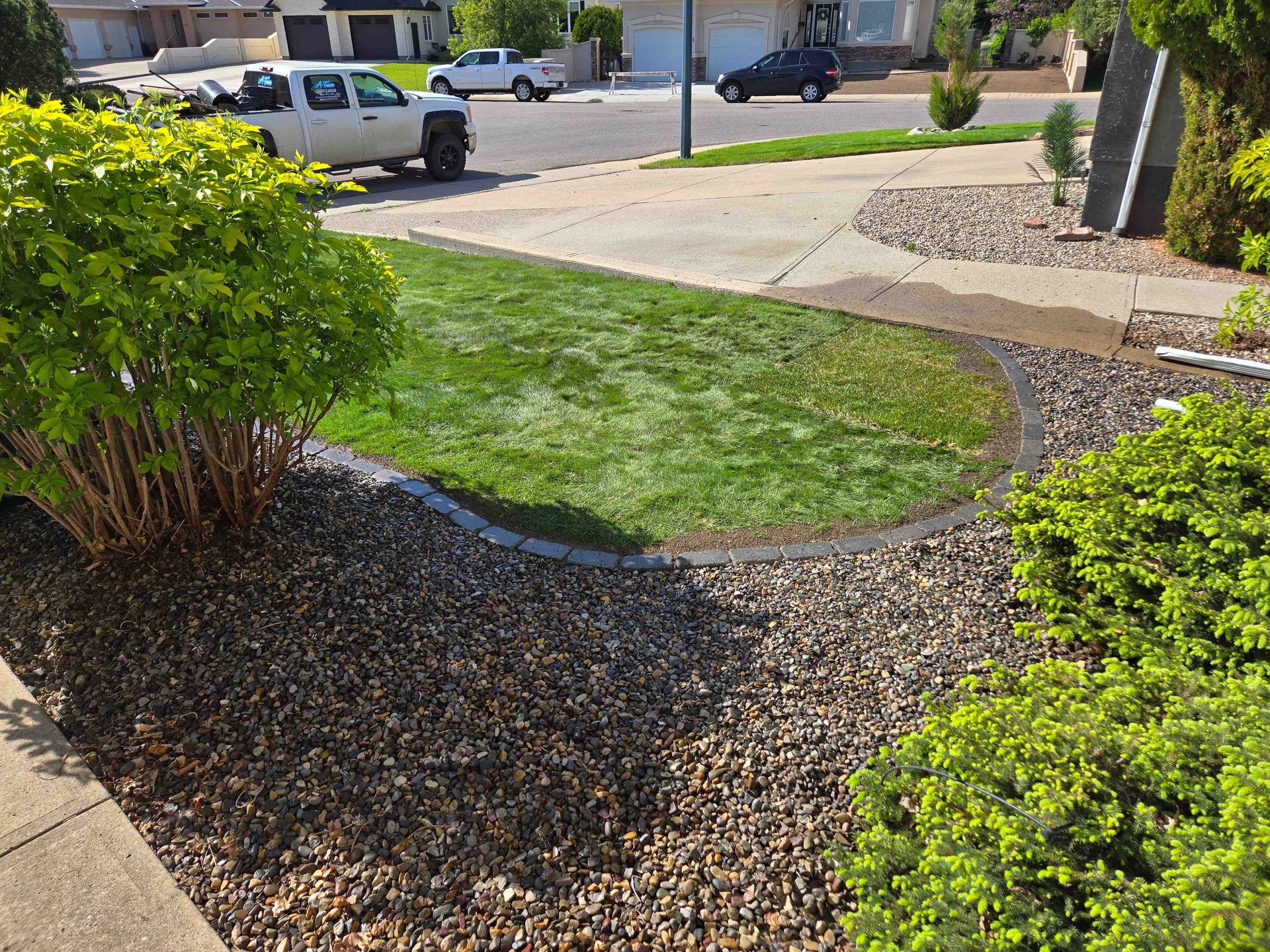 A grassy oval lawn bordered by stones is surrounded by gravel landscaping and green shrubs in a residential yard.