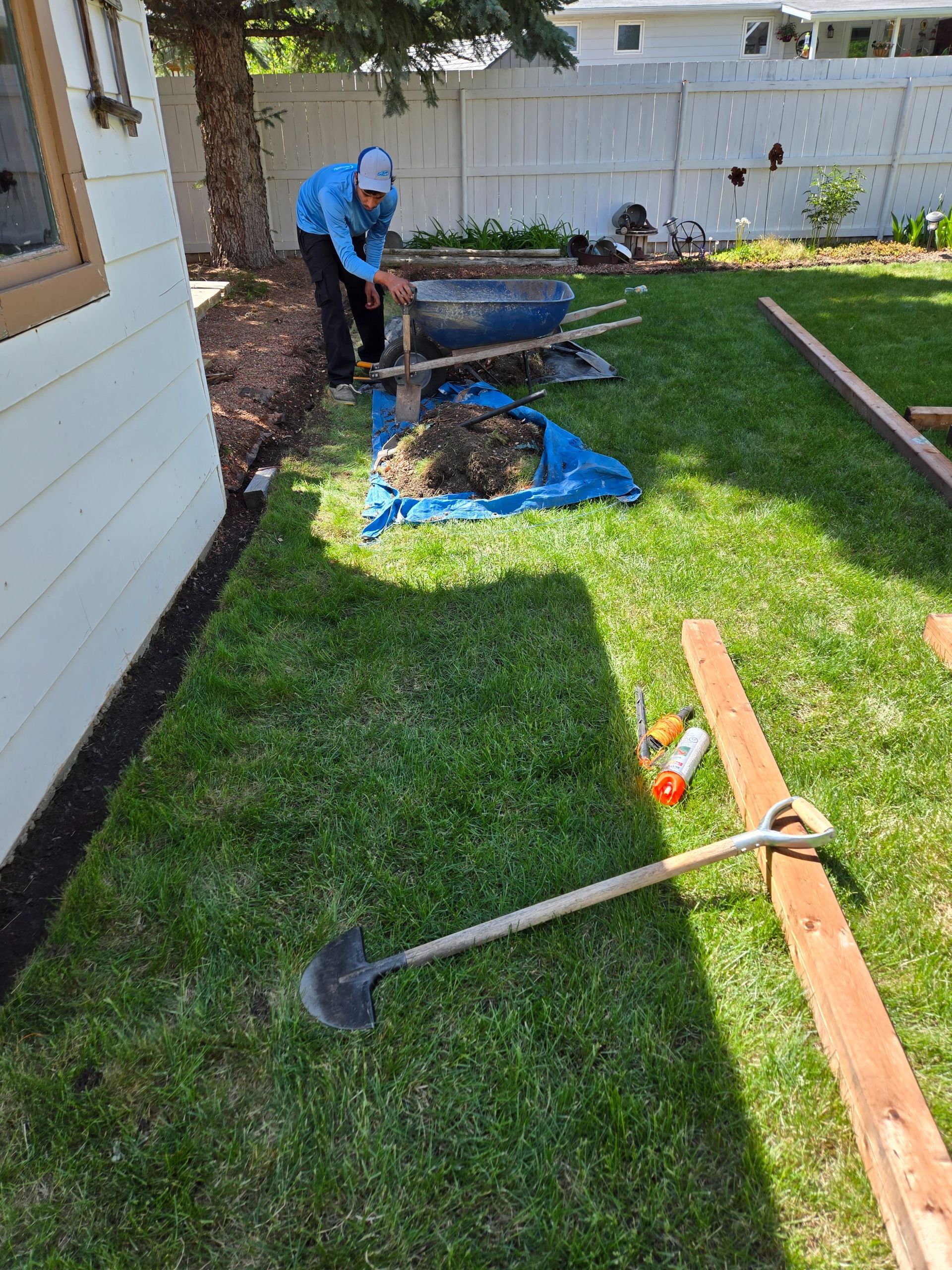 A person in a blue shirt works on landscaping in a backyard near a white house, with a shovel on the grass in the foreground.