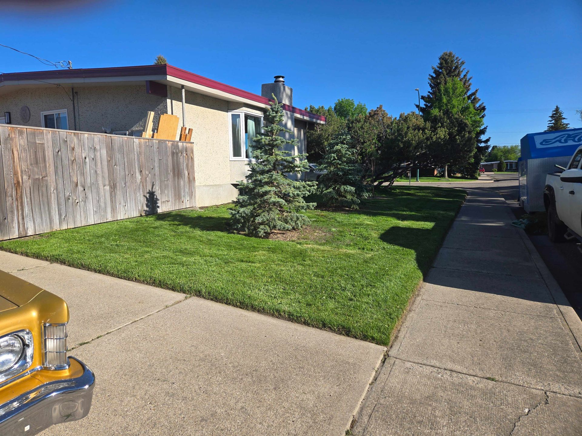 A residential house with a lawn, two evergreen trees, and a wooden fence, next to a sidewalk on a sunny day.
