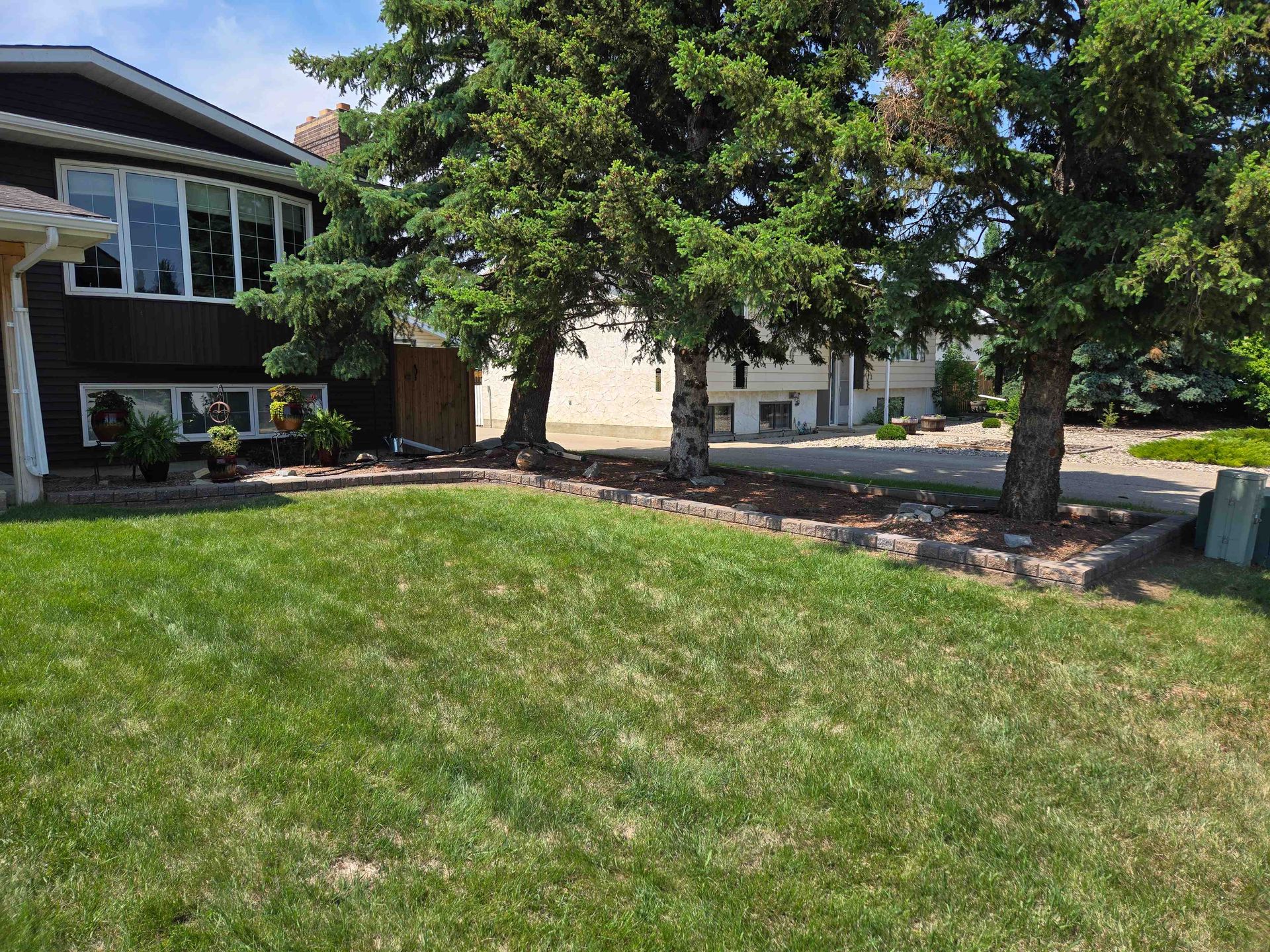 A dark brown house with large windows sits behind a green lawn and a garden bed lined with stone pavers near two pine trees.