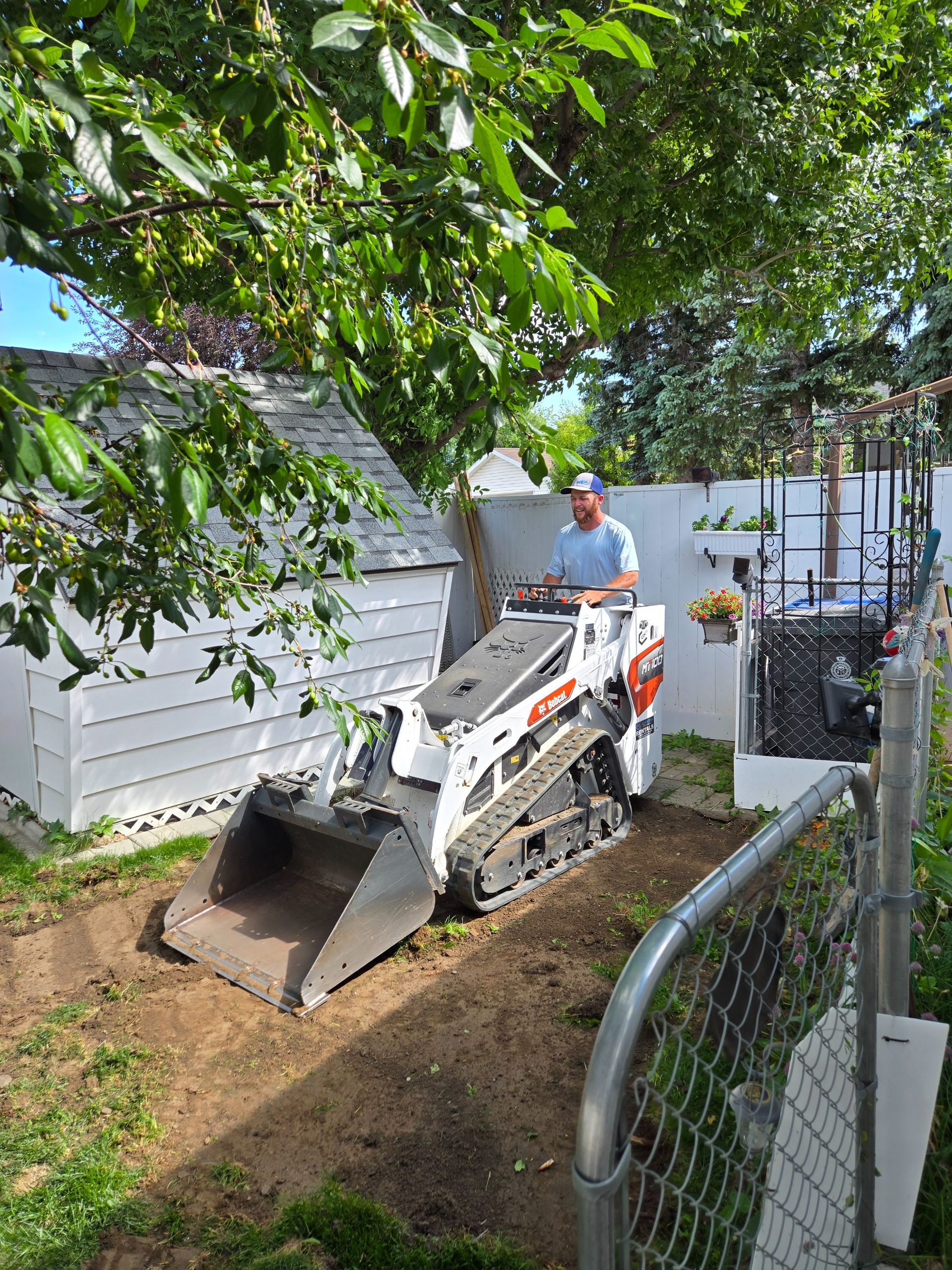 A person operates a white Bobcat skid-steer loader on dirt in a residential yard next to a white shed and chain-link fence.