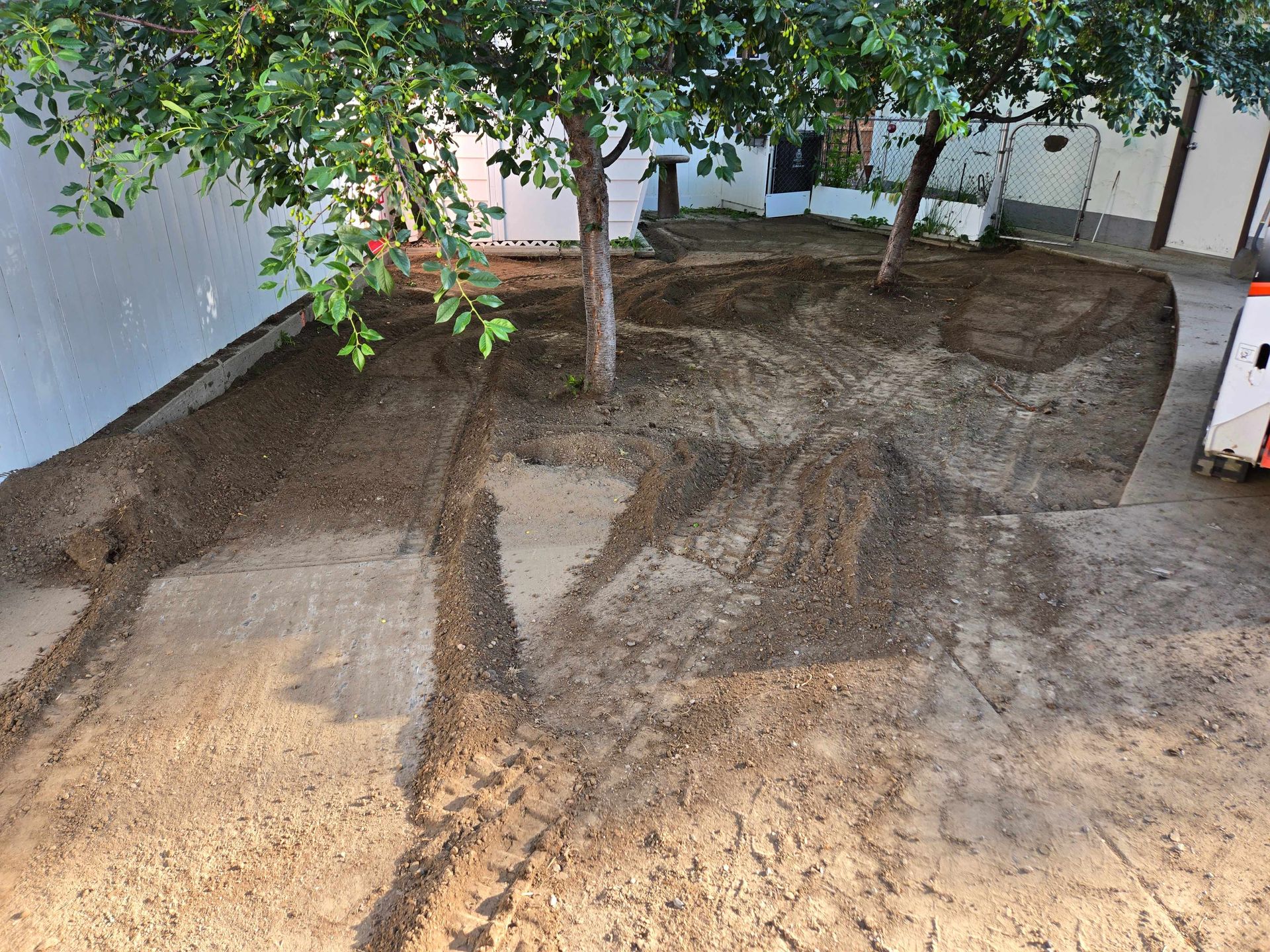A residential backyard under renovation with exposed dirt, tire tracks, and two trees near a concrete walkway.