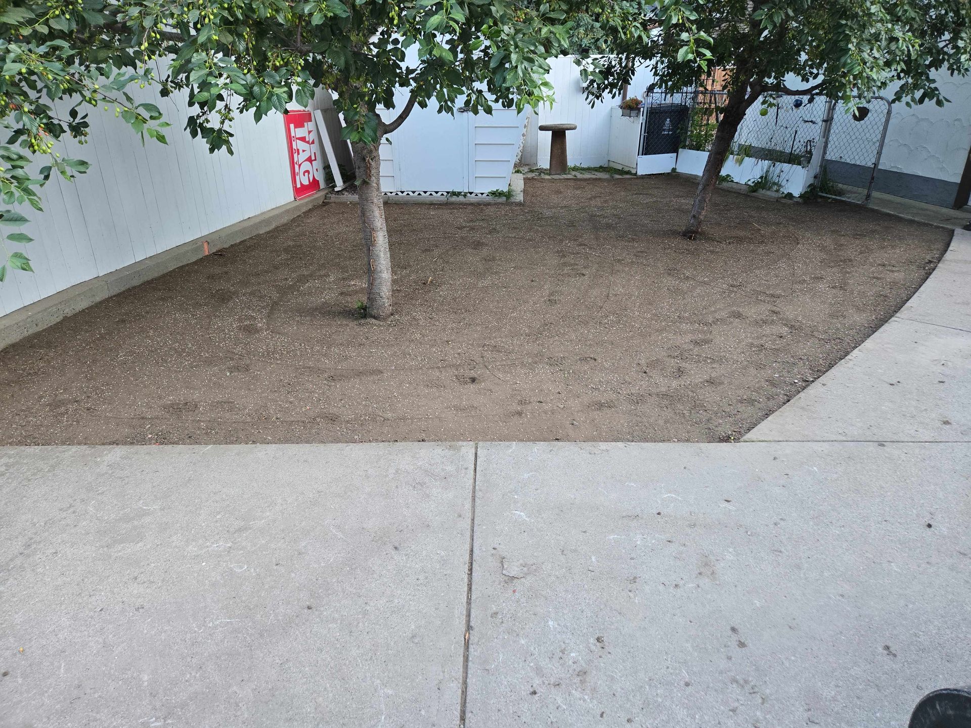 A patch of bare, brown earth with two trees sits between a white fence and a concrete patio in a backyard.