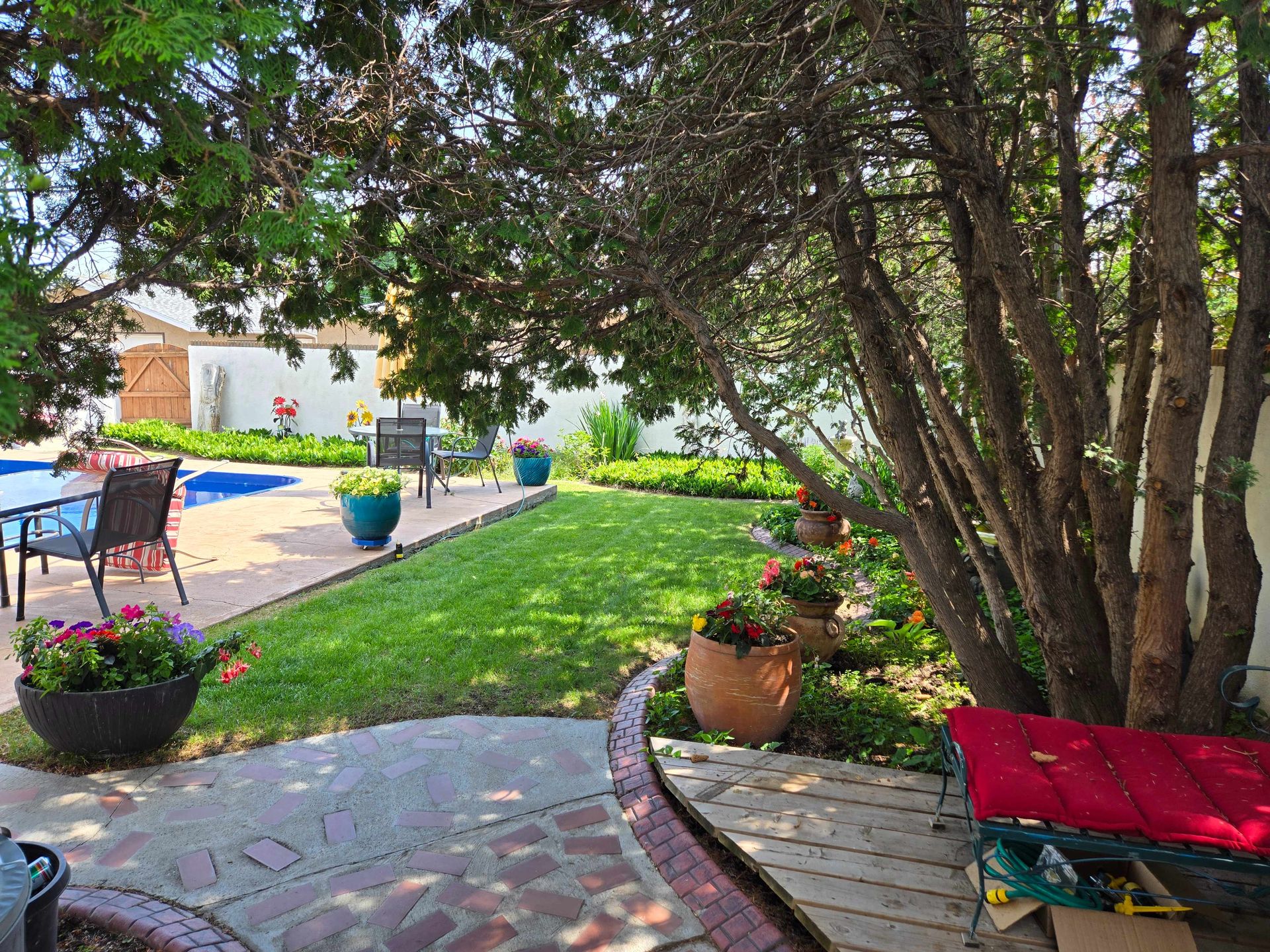 A backyard patio with a swimming pool, lawn, and potted flowers under the shade of a tree.