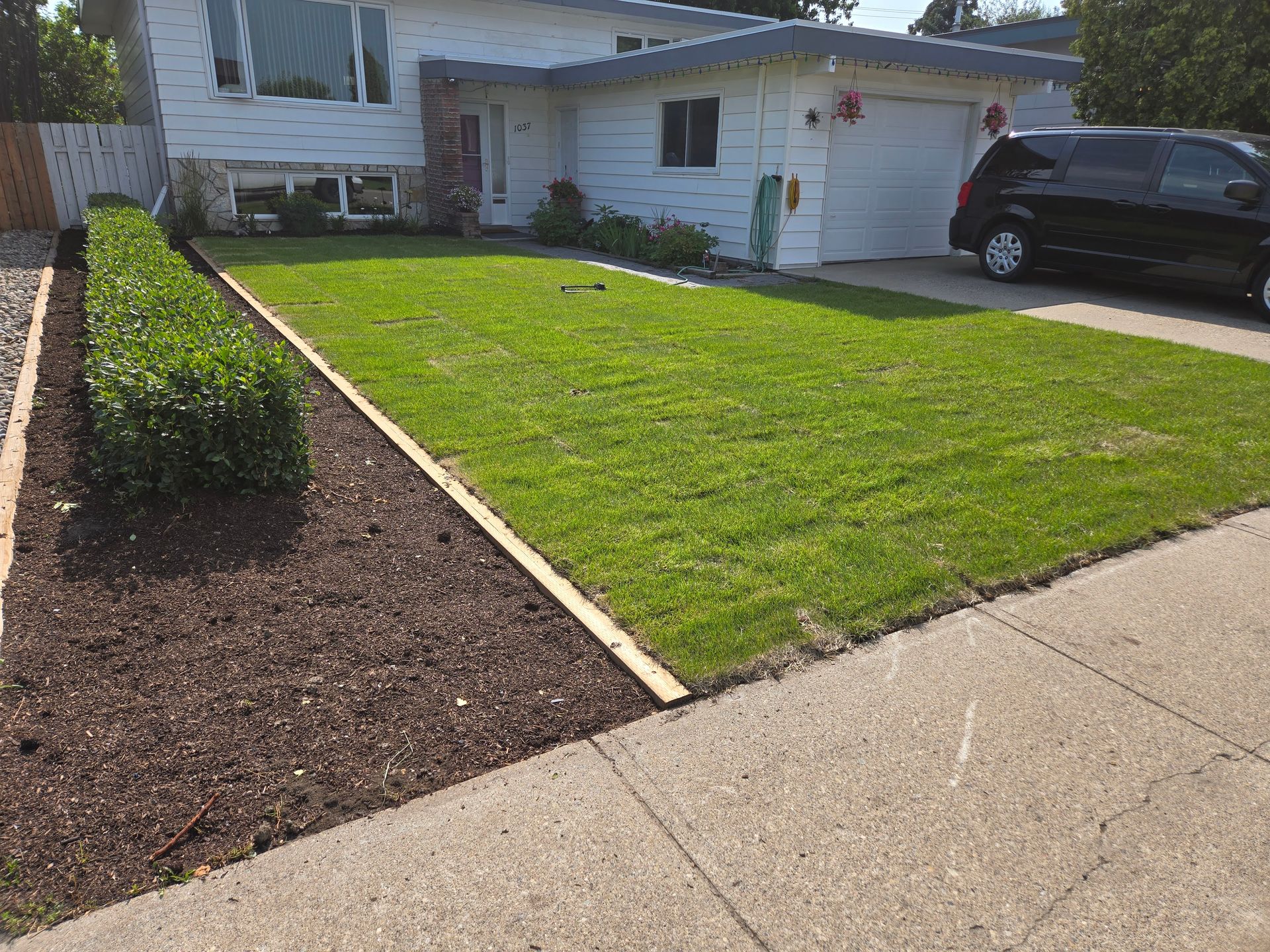 Front yard with fresh sod, a mulch bed, and a white house with a black SUV in the driveway
