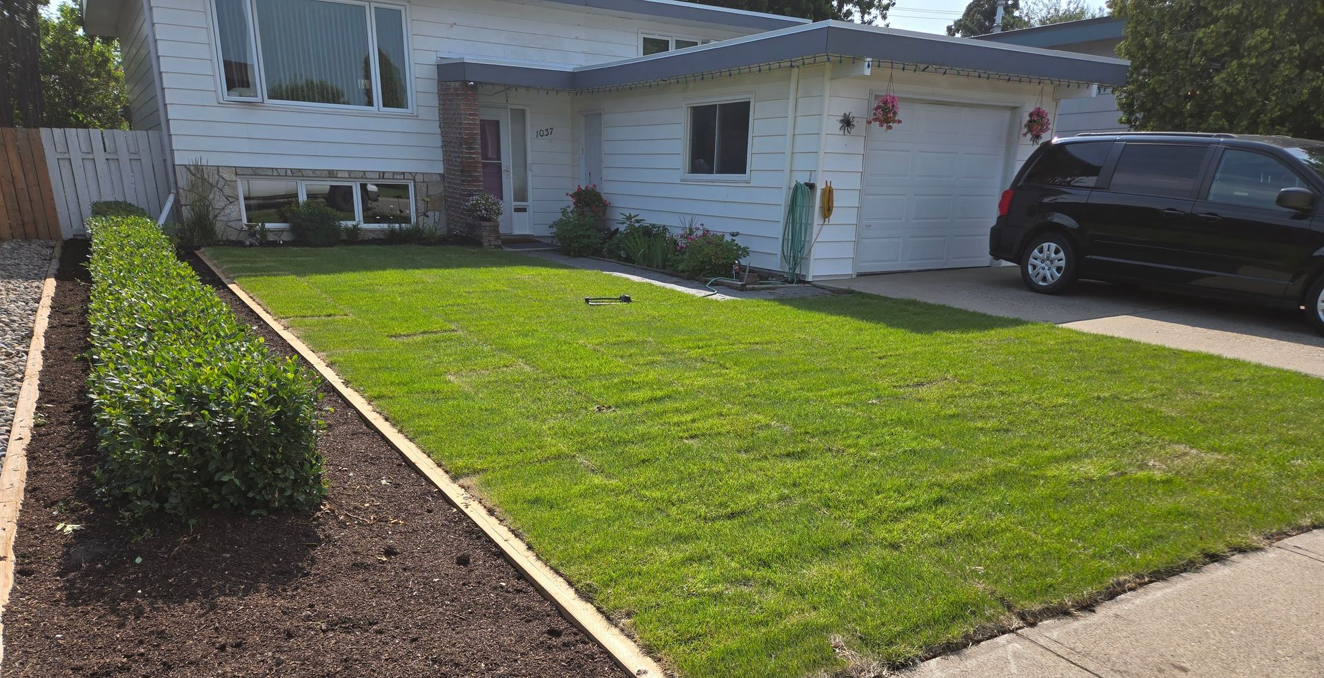 Front yard with fresh green lawn, mulch beds, and a house driveway with a black SUV.