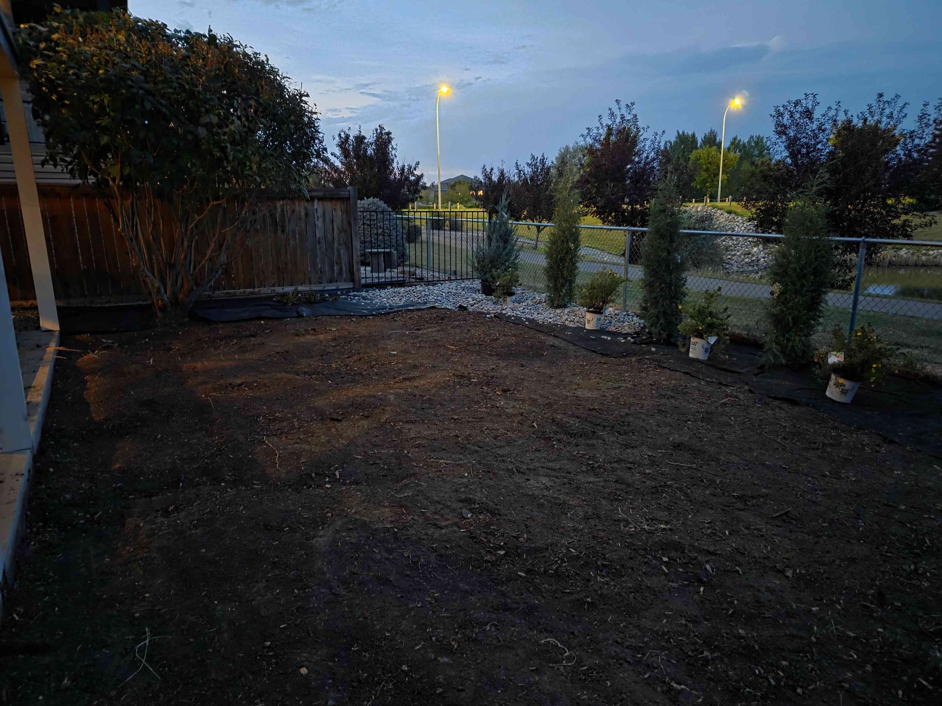 A freshly tilled, empty backyard at twilight, featuring a wooden fence, surrounding evergreen trees, and bright lamp posts.