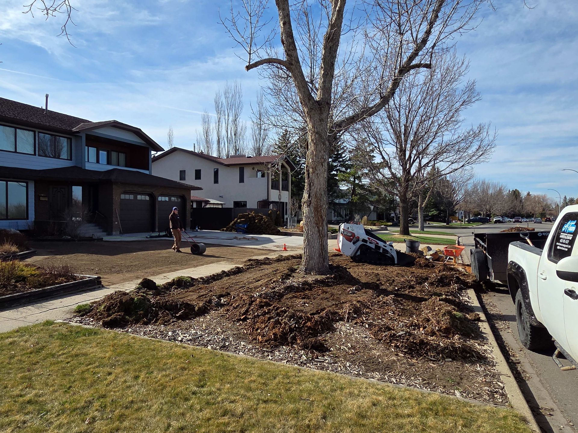 Residential street with a leaf-covered tree planter beside houses and parked cars on a sunny day