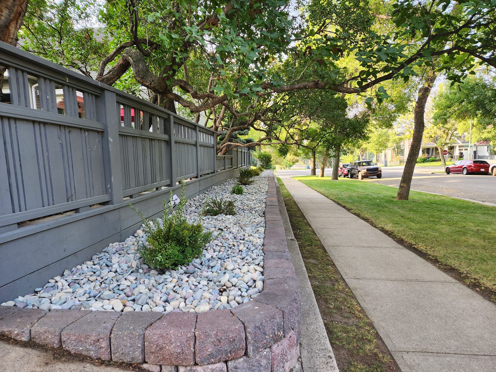 A gray fence borders a raised rock garden with small shrubs.