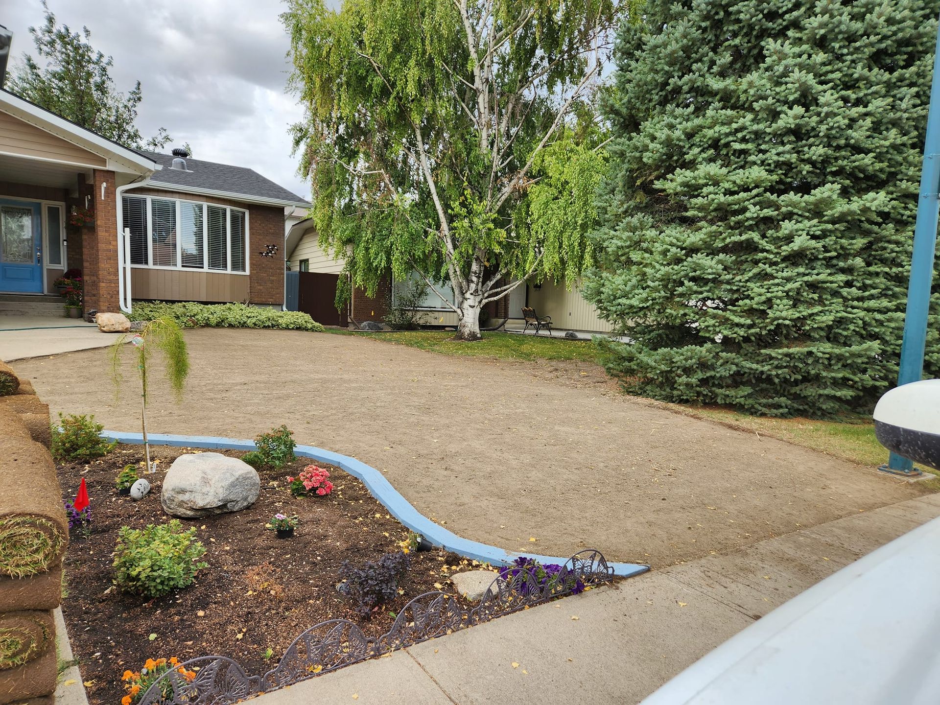 A residential front yard with a gravel lawn, a curved light blue landscape border, and garden beds with plants and mulch.