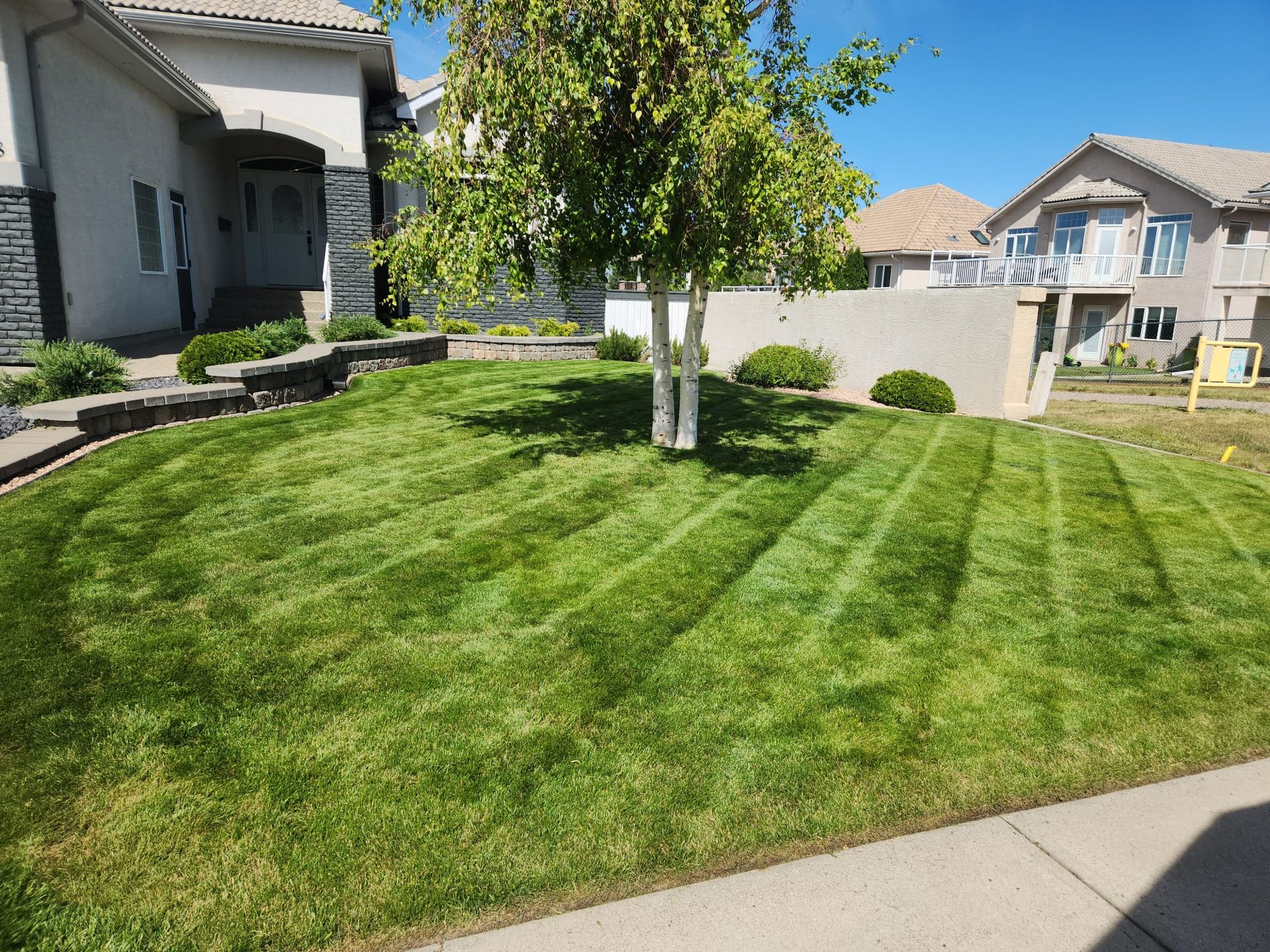 A freshly mown green lawn.