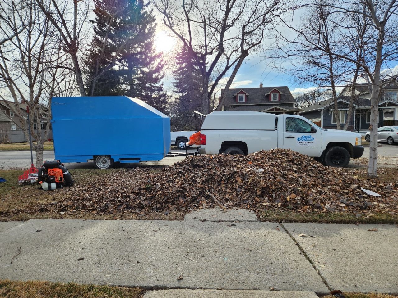 A large pile of dry leaves sits on a residential lawn, next to a white pickup truck towing a blue dump trailer.