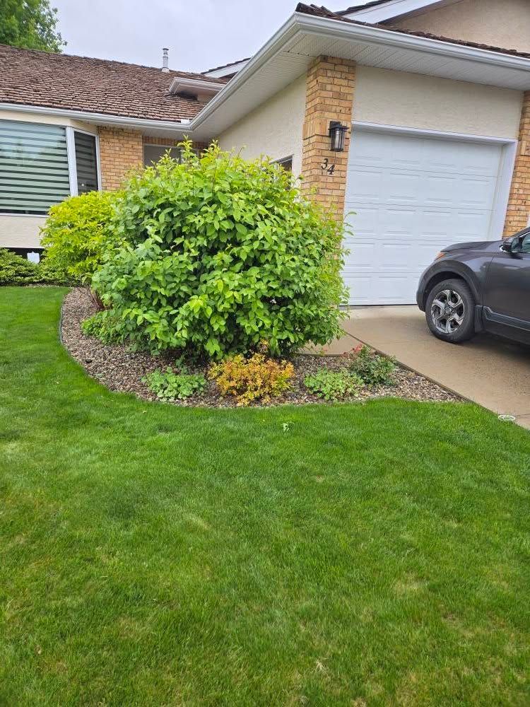 Large green shrub, a small reddish bush, and gravel landscaping. Large green shrub, a small reddish bush, and gravel landscaping.