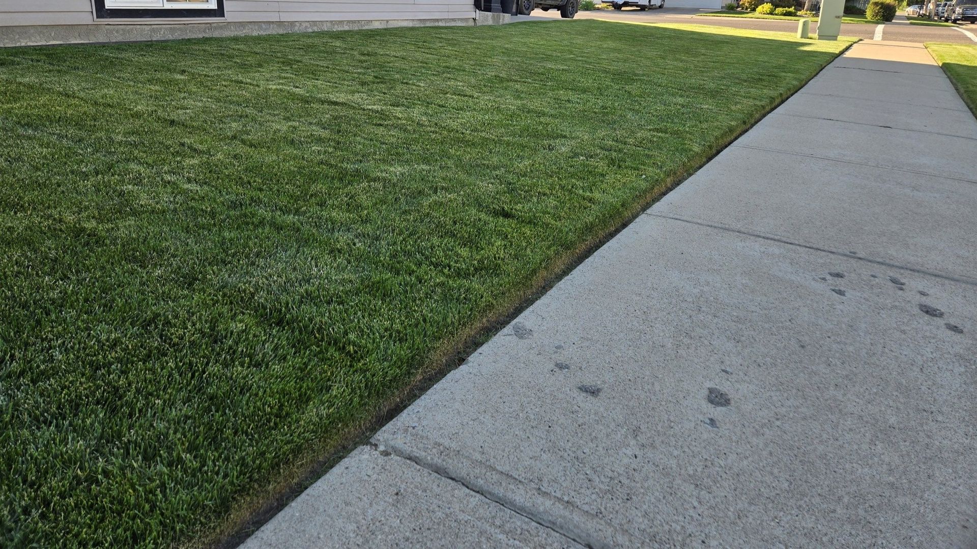 Edge of a well-maintained green lawn.