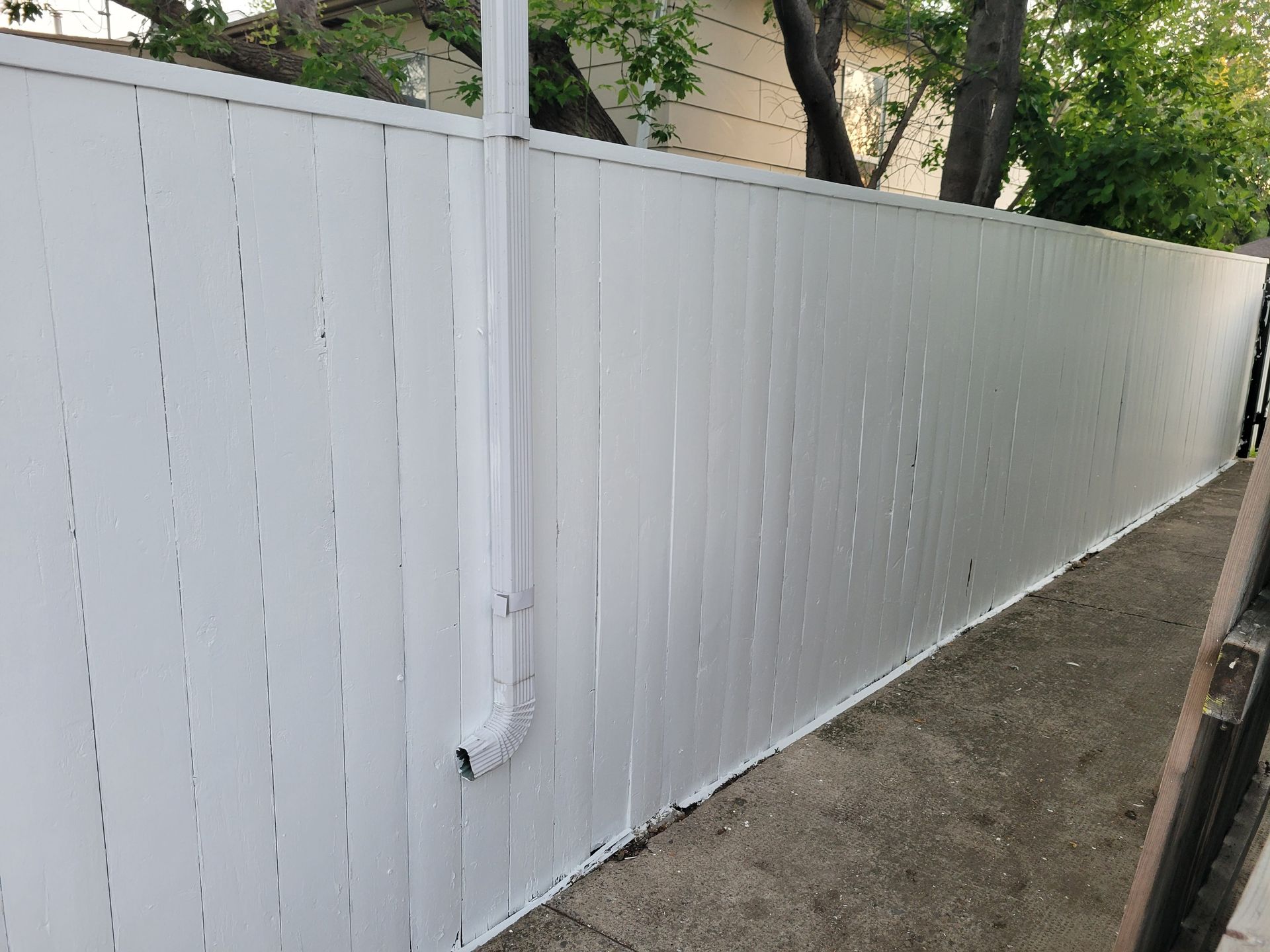 White wooden fence along a narrow dirt path, with trees and greenery behind it.