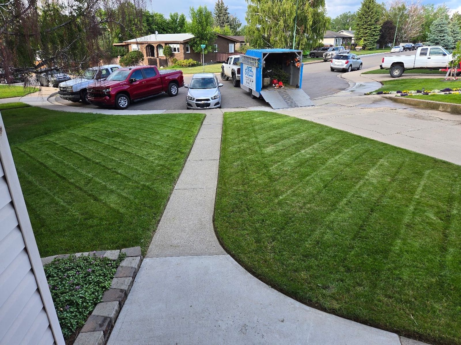 A first-person view of a neatly mowed lawn with diagonal striping, leading to a sidewalk with cars and a utility trailer.