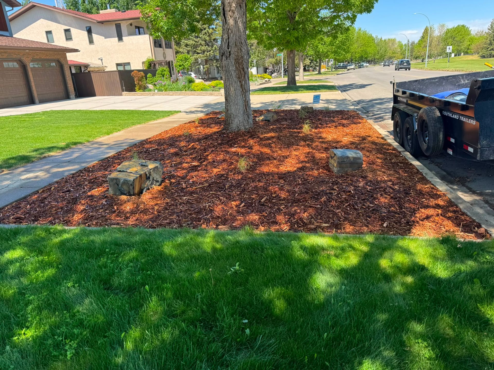 Front yard mulch bed with a large tree stump, tree trunk, and a black trash bin by the curb