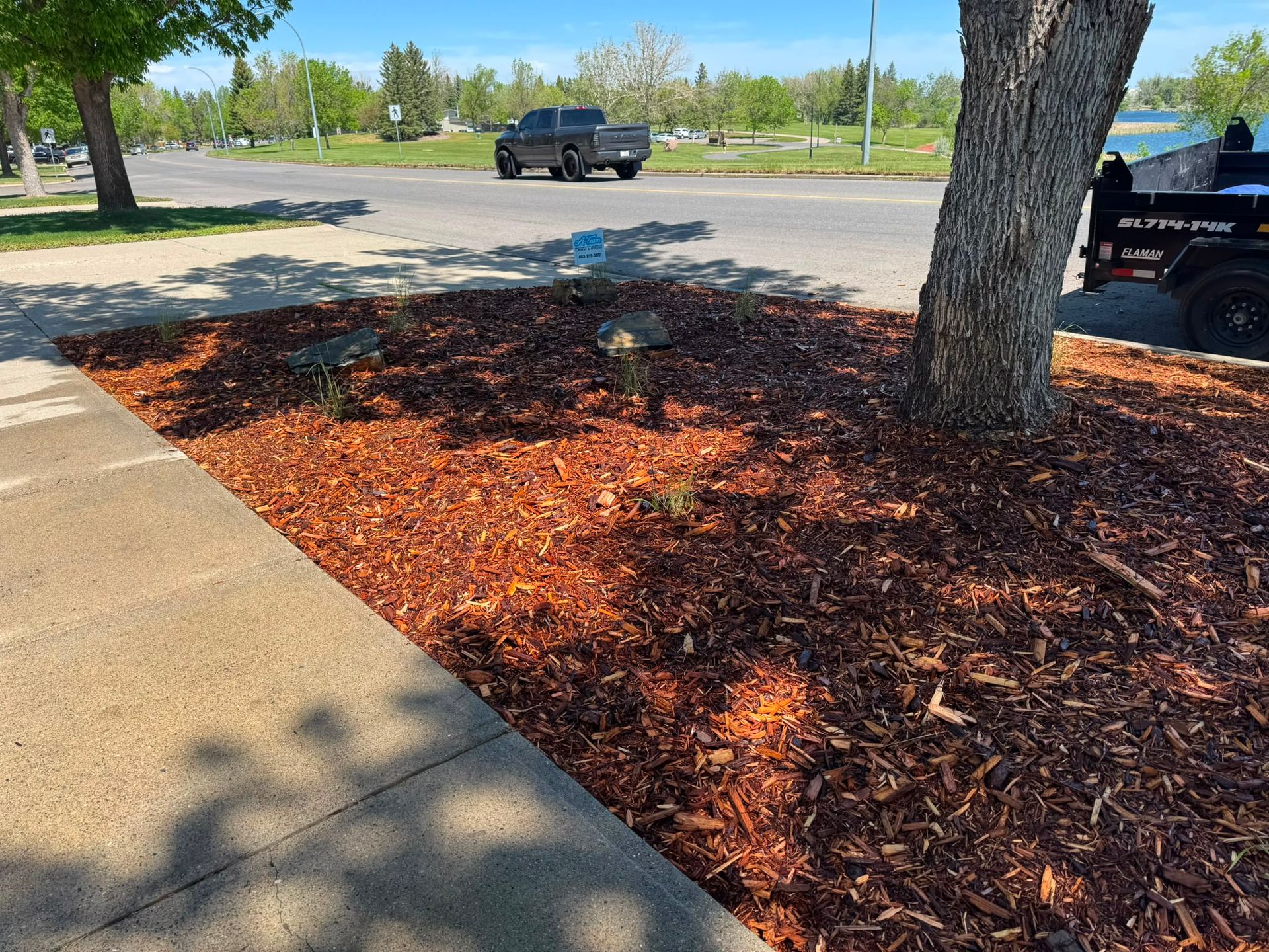 Mulched tree bed beside a sidewalk, with a large tree and parked vehicles in a sunny parking lot.