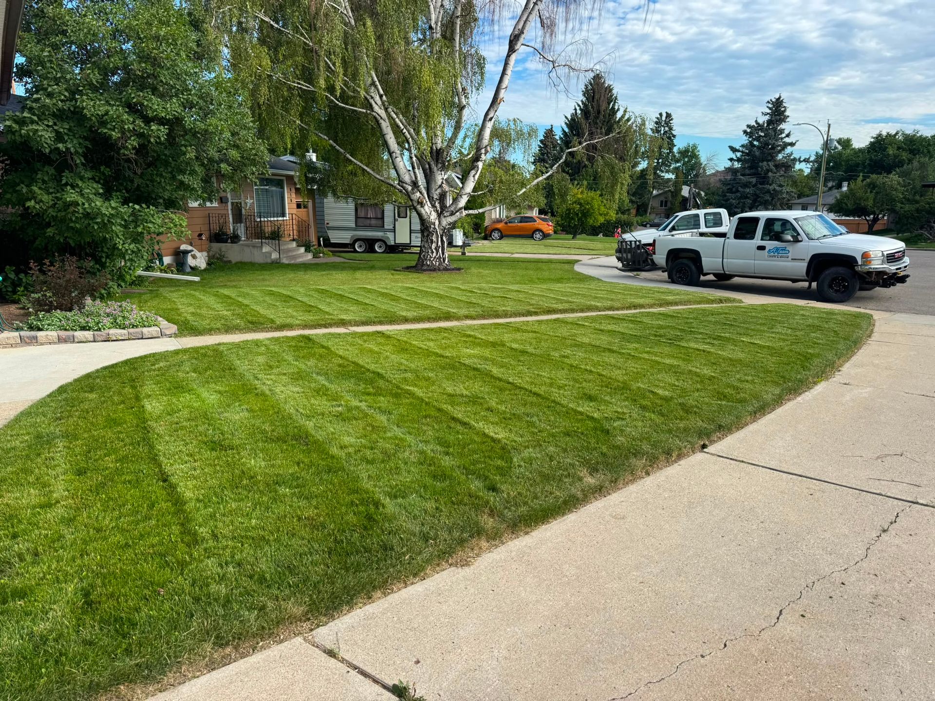 Suburban lawn with fresh mowing stripes, trees, and a white pickup truck parked by the curb