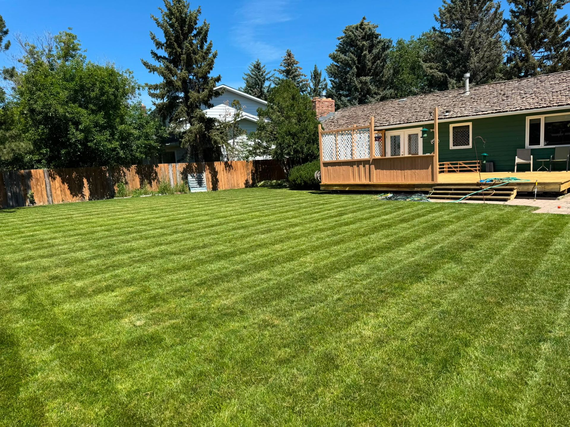 Lush green lawn beside a wooden house and deck, with tall trees and a blue sky in the background