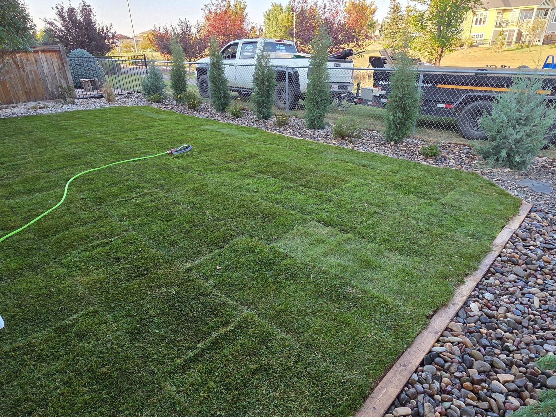 Freshly mowed lawn with a hose, rock border, and parked trucks in the background