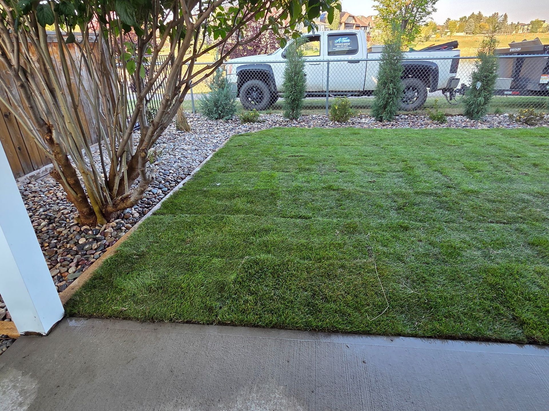 Front yard lawn beside a concrete patio, with a tree and a parked pickup truck behind a fence.