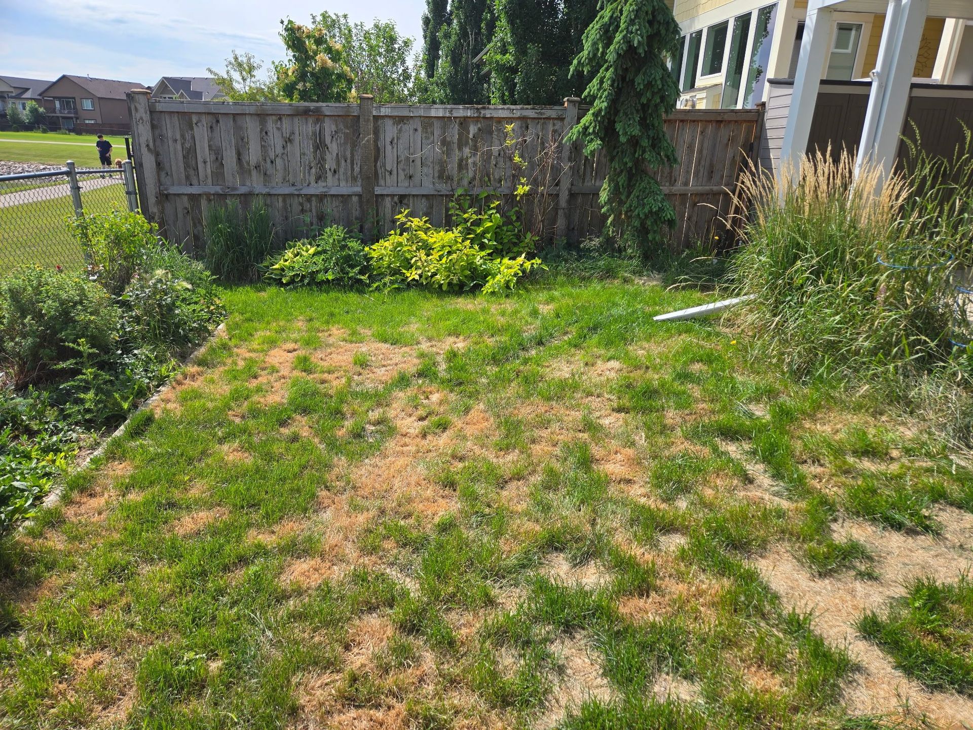 Backyard with patchy grass, a wooden fence, and garden plants beside a house.