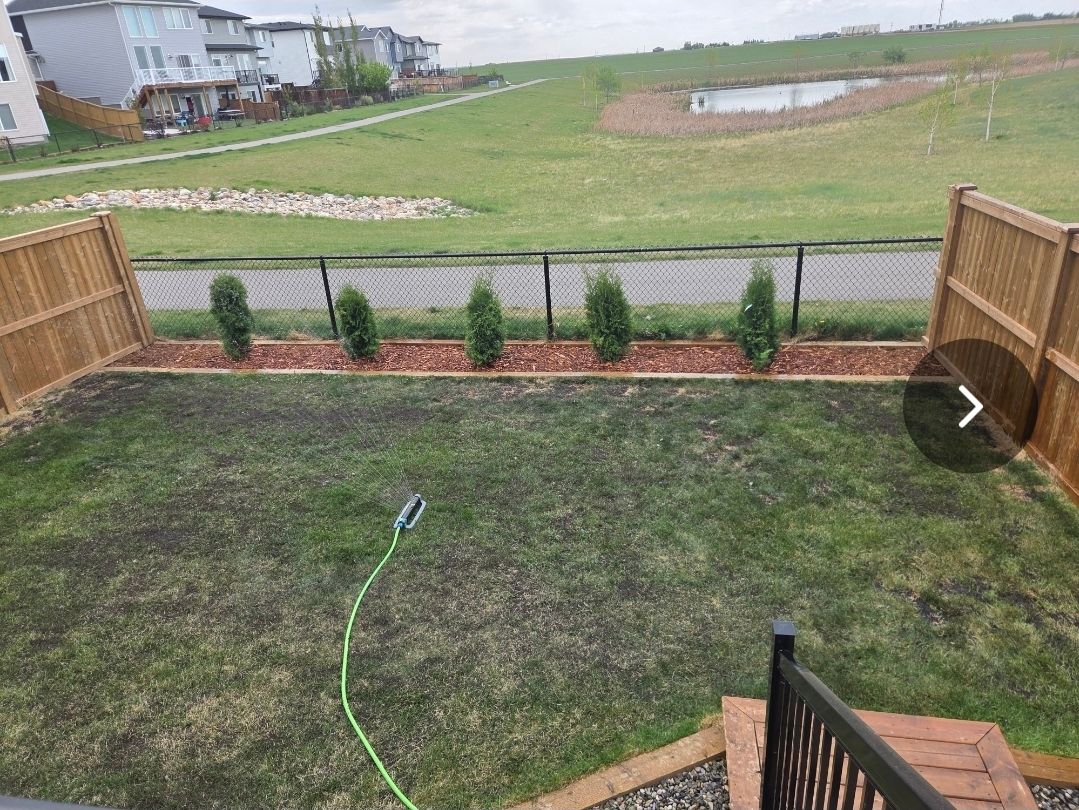 Backyard lawn with a green hose, wooden deck, fence, shrubs, and a road beyond the yard