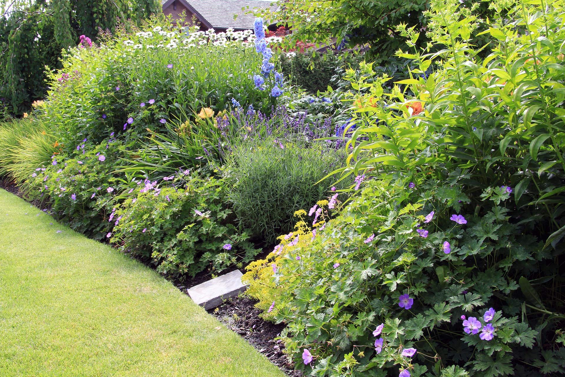 A lush garden bed with various colorful flowers and green foliage bordering a neat green lawn.